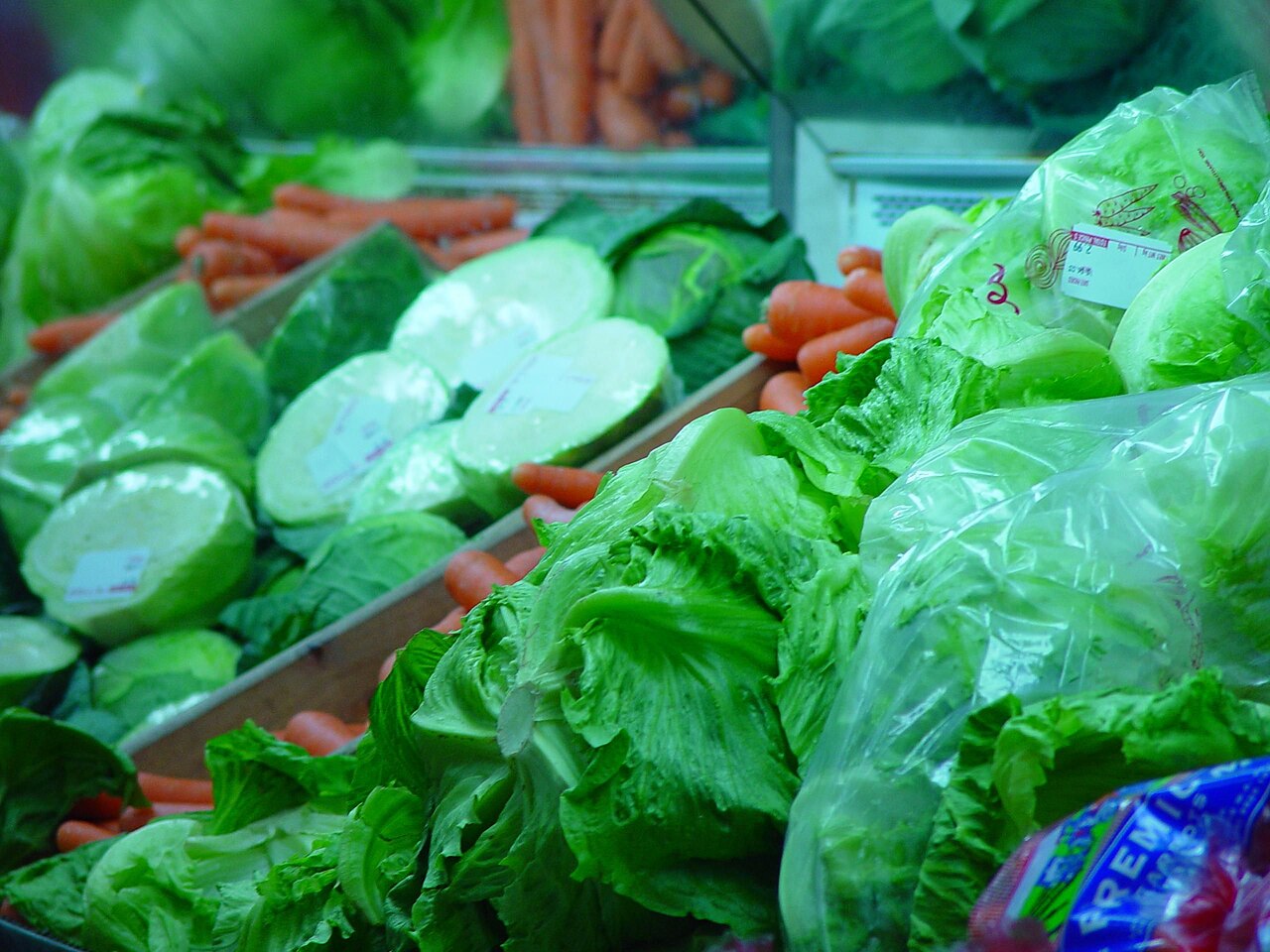 Kastamonu Estetik Ameliyat Sonrası Beslenme | Diyetisyen Önerileriyle İyileşme Dönemi, Protein Dengesi ve Online Takip
